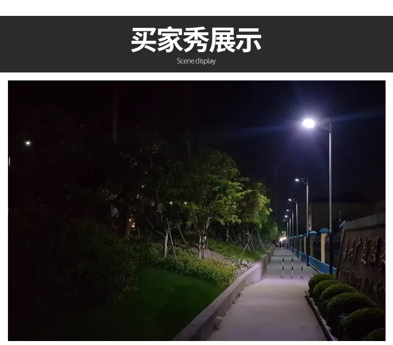 战斧大路灯_09.jpg
