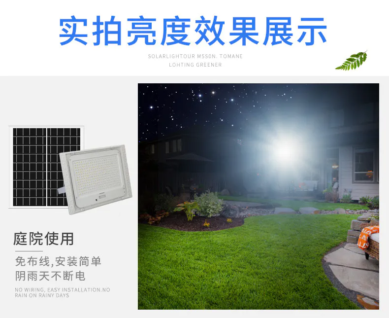 白雪_09.jpg