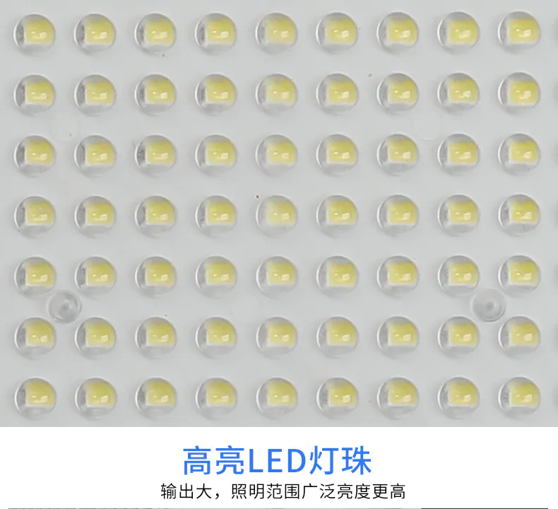 白雪_15.jpg
